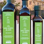 דירה La Foresta-3 By Interhome Quercegrossa