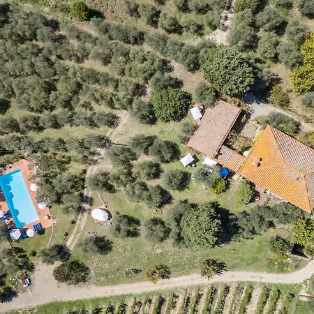 Apartment La Foresta-3 By Interhome